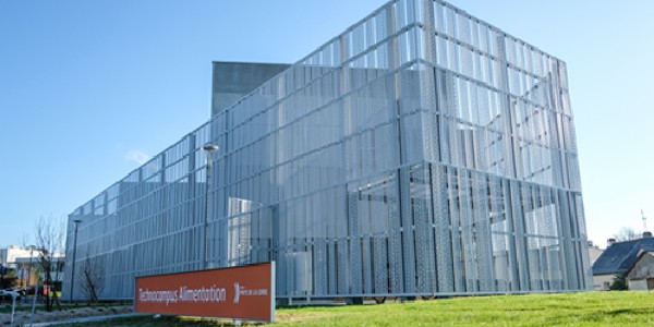 Company capsulae nantes