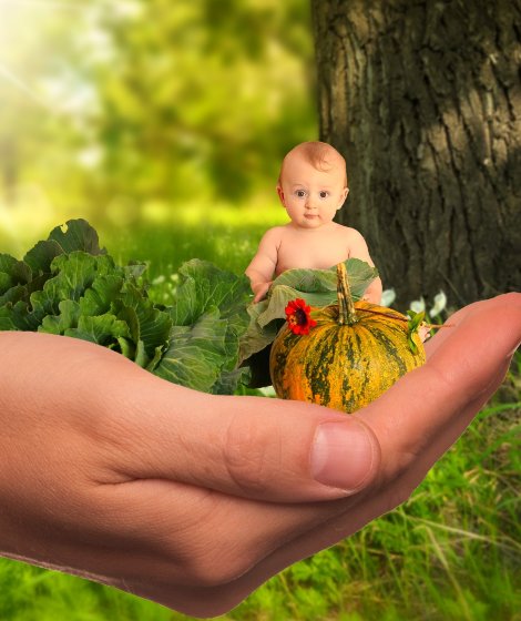 Marché alimentation infantile Marché alimentation infantile