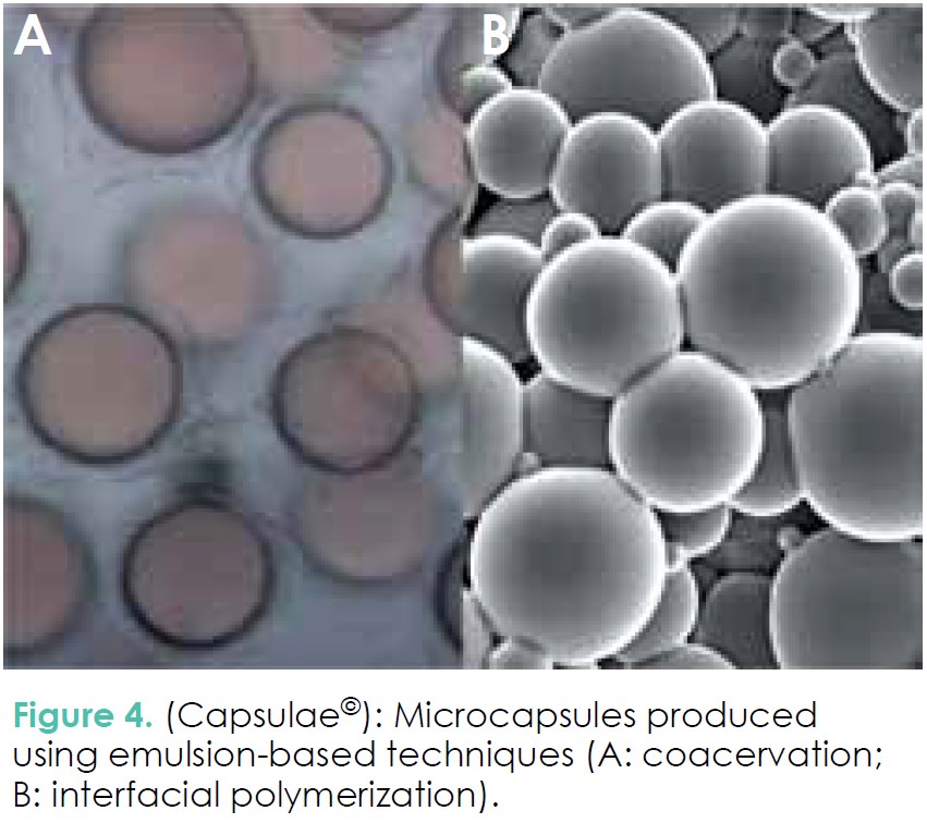 microencapsulation food ingredient