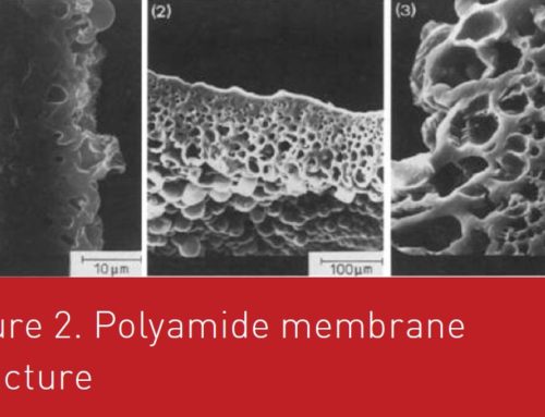 Interfacial polymerization versus cross-linking Microencapsulation