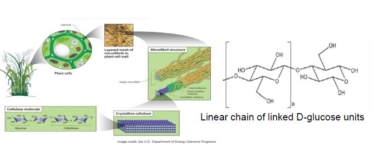 cellulose emulsions