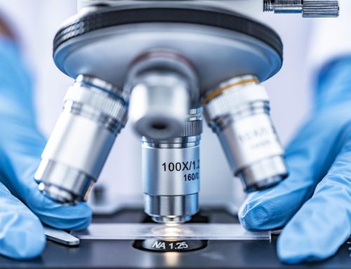 Collaborative Research & Innovation: Le Mans Université, CNRS, and Capsulæ, with the support of the ANR, join forces to design biodegradable microcapsules