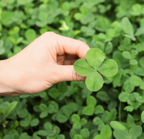 technologies spécifiques pour produits de spécialité