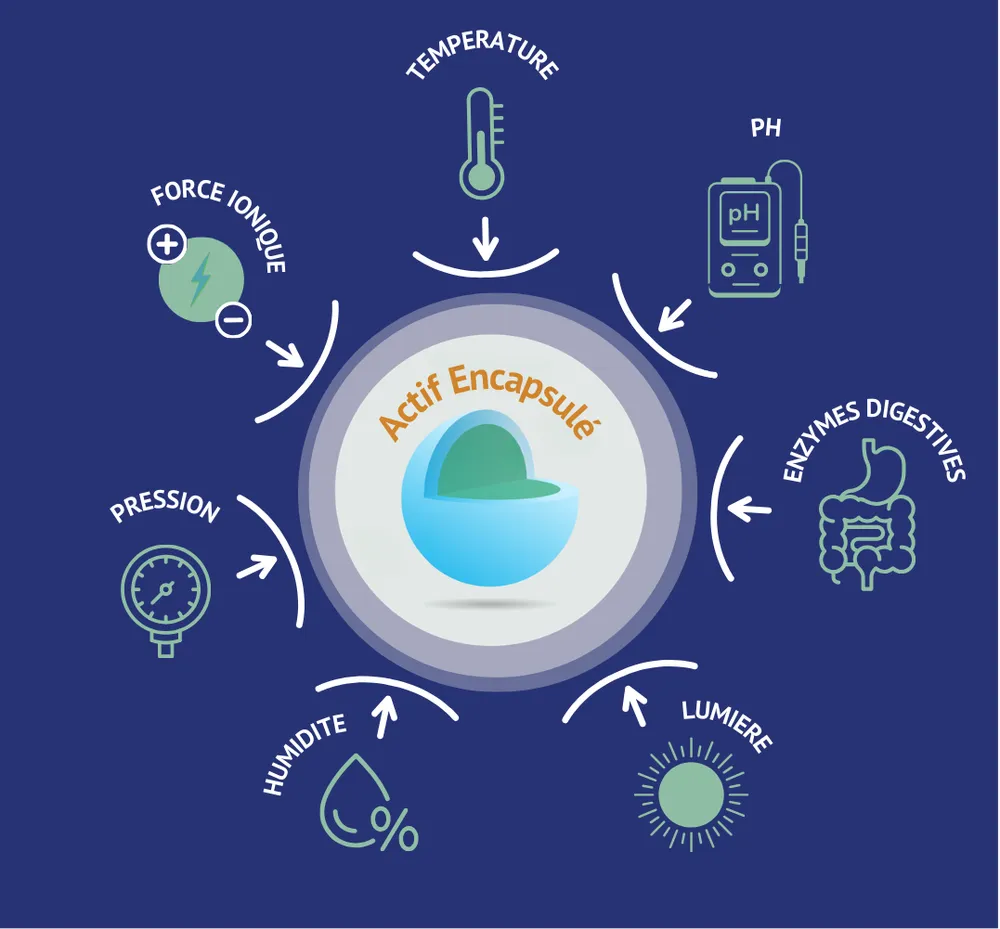 Microencapsulation- visuel protection actif