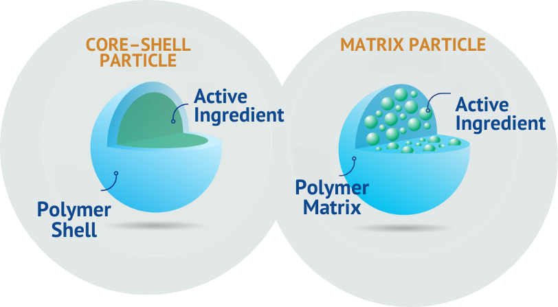 encapsulation FRANCAIS encapsulation FRANCAIS