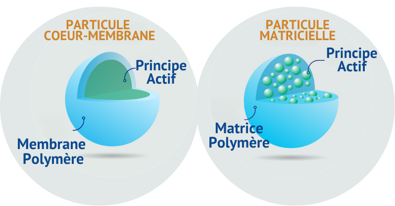 encapsulation FRANCAIS