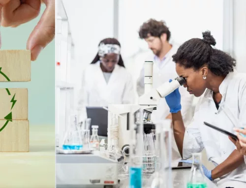 Innovation alimentaire durable : réduire le gaspillage et prolonger la vie de vos ingrédients