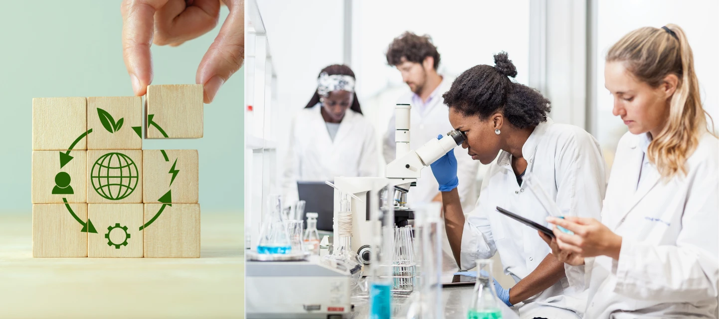 innovation alimentaire durable