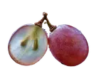 Grain de raisin