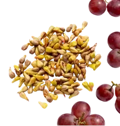 polyphenols