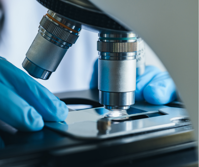 Microscope canva philosophie employeur