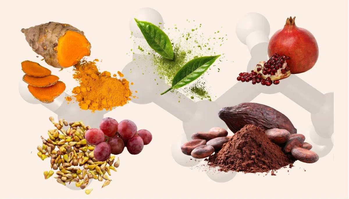 Polyphenols Mastering Spray Drying