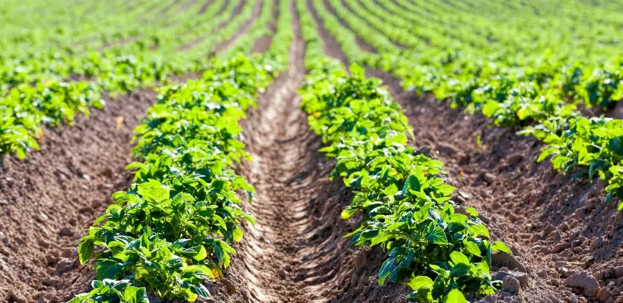 Spécialités techniques et produits de spécialité Spécialités techniques et produits de spécialité